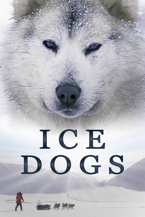 Ice Dogs: The Only Companions Worth Having (2016) movie poster