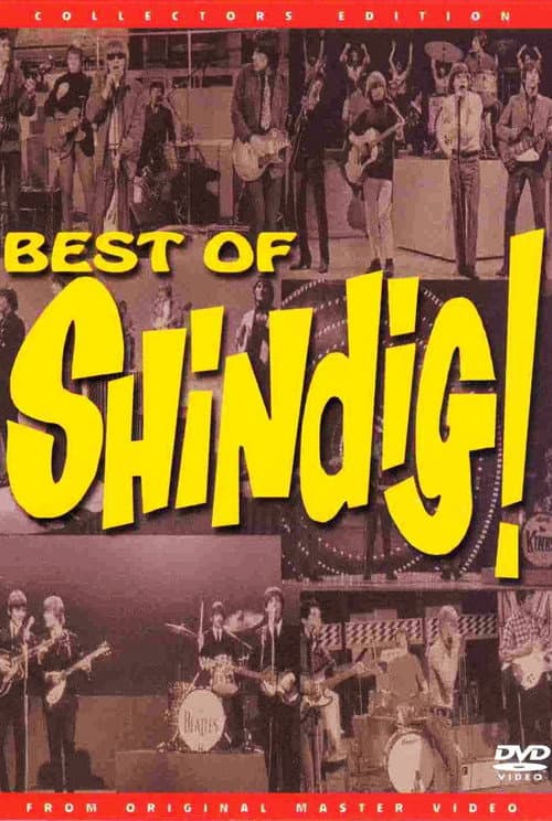 The Best of Shindig! (2004) movie poster