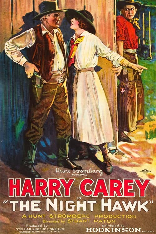 Affiche du film The Night Hawk (1924)