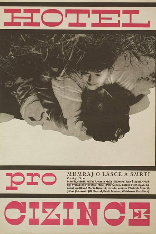Hotel pro cizince (1967) movie poster