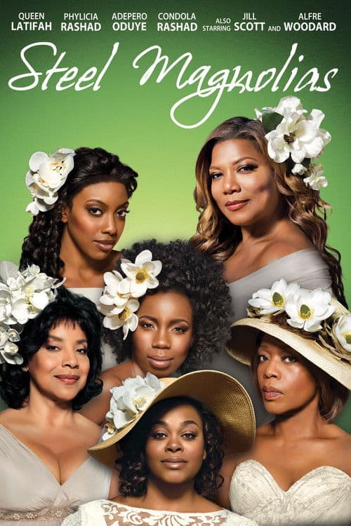 Affiche du film Steel Magnolias (2012)
