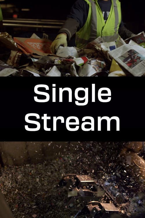 Single Stream (2014) movie poster