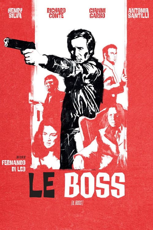 Affiche du film Il boss (1973)