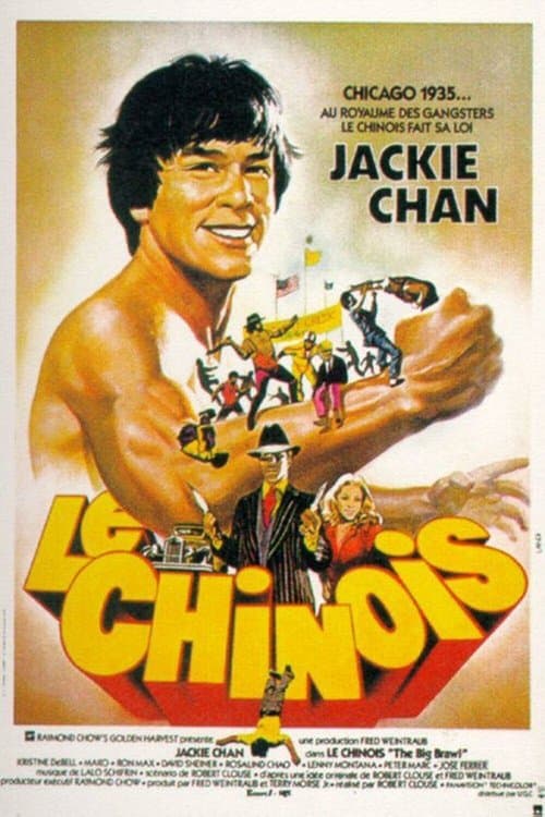 Affiche du film The Big Brawl (1980)