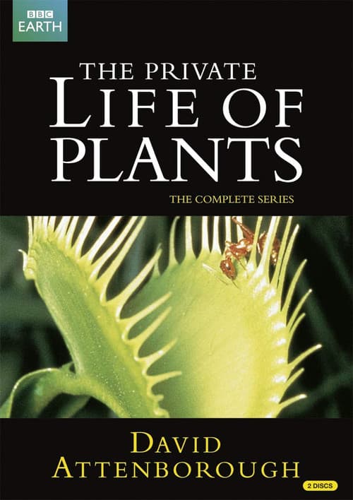 The Private Life of Plants (1995) movie poster