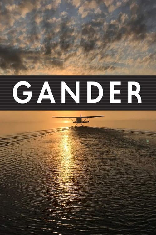 ملصق فيلم Gander International: The Airport in the Middle of Nowhere (2019)