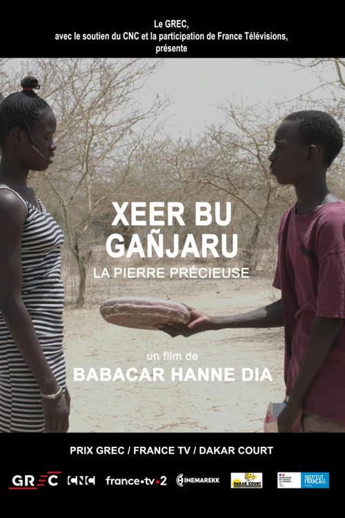 Affiche du film La Pierre Précieuse (2021)
