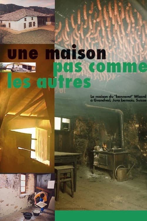 Affiche du film Une maison pas comme les autres (2007)