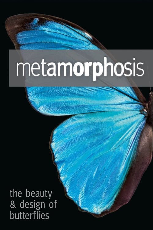 Affiche du film Metamorphosis: The Design and Beauty of Butterflies (2011)