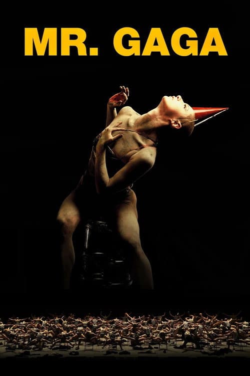 מיסטר גאגא (2015) movie poster