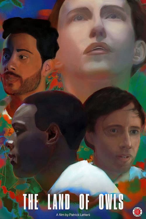 Affiche du film The Land of Owls (2021)