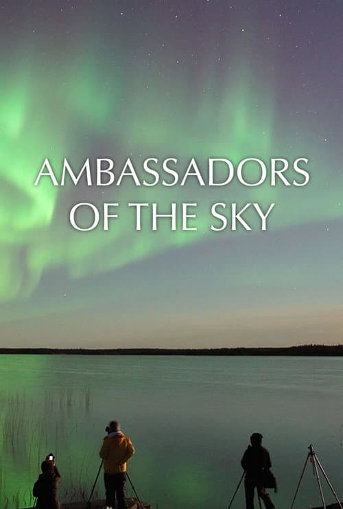 Ambassadors of the Sky (2016) movie poster