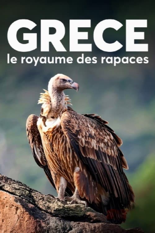 Affiche du film Ο κόσμος των αρπακτικών πουλιών – Δικαίωμα στην Επιβίωση (2024)