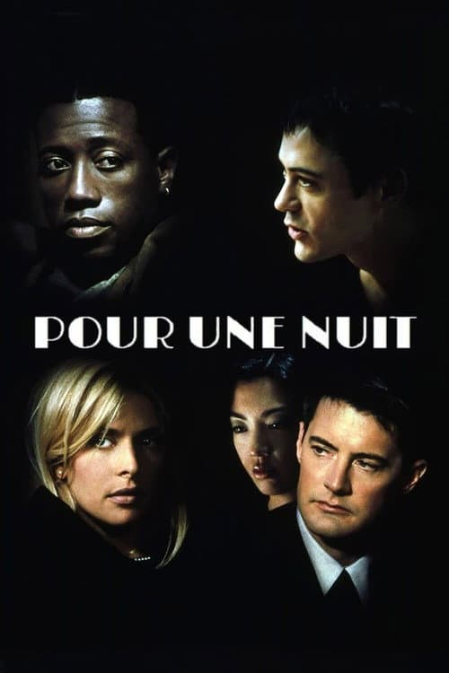 Affiche du film One Night Stand (1997)