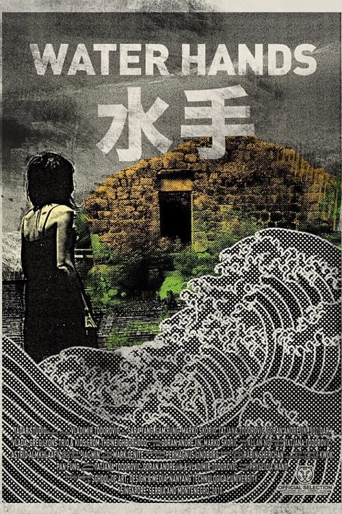Affiche du film 水手 (2011)