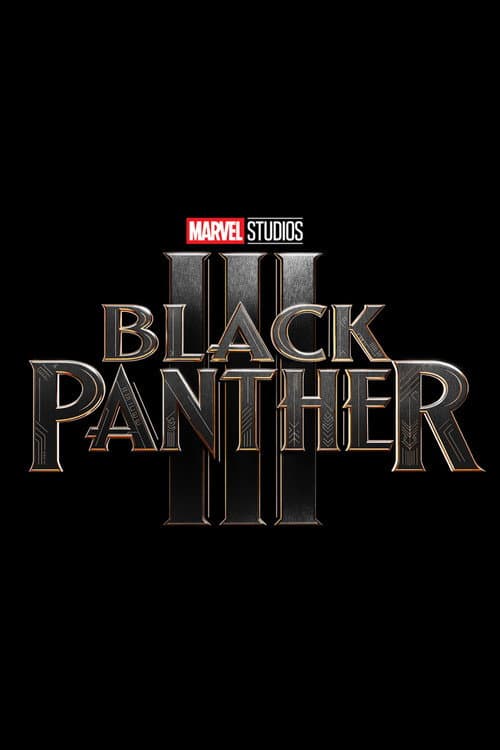 ملصق فيلم Black Panther 3 (2028)