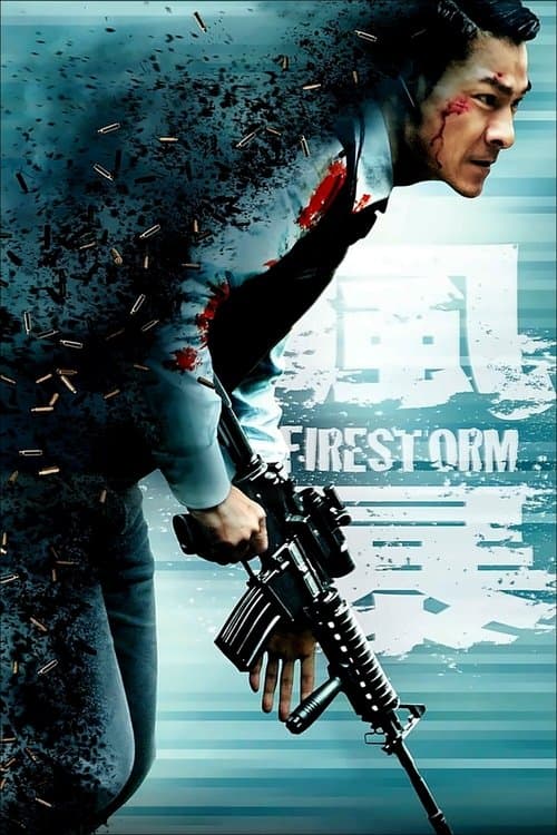 風暴 (2013) movie poster