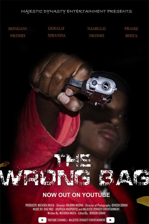 Affiche du film The Wrong Bag (2023)