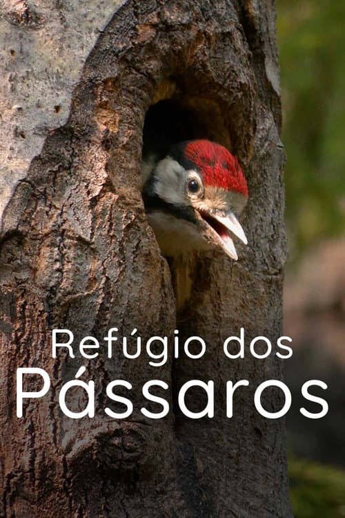 Refúgio dos Pássaros (2022) movie poster