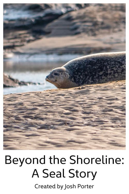 Affiche du film Beyond the Shoreline: A Seal Story (2023)
