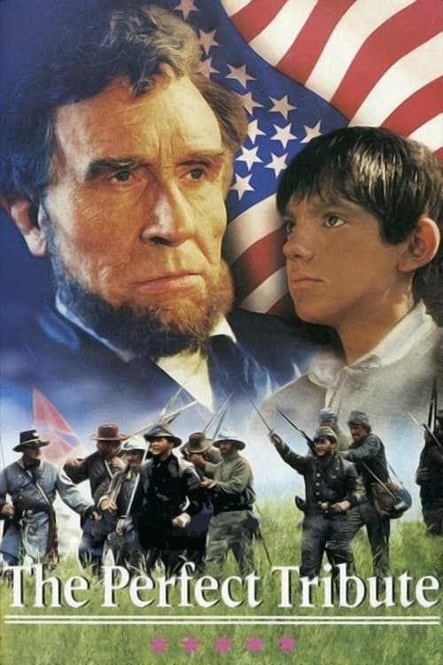 Affiche du film The Perfect Tribute (1991)