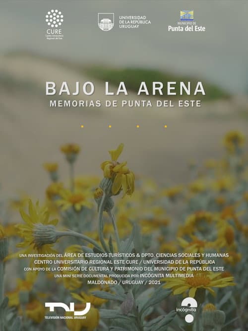 Bajo la arena. Memorias de Punta del Este (2021) movie poster