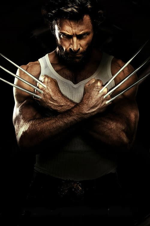 Affiche du film The Roots of Wolverine: A Conversation with Stan Lee and Len Wein (2009)