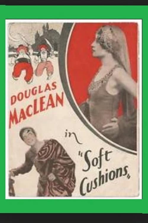 Affiche du film Soft Cushions (1927)