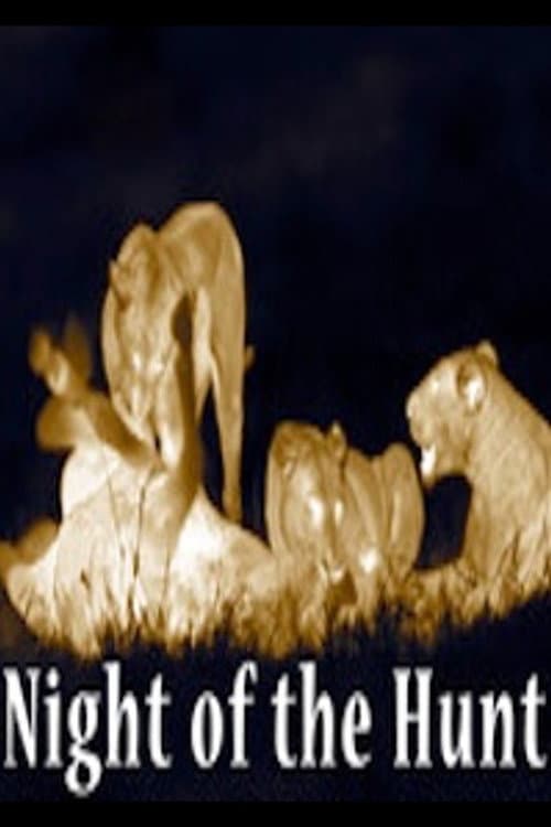 Night of the Hunt (2011) movie poster