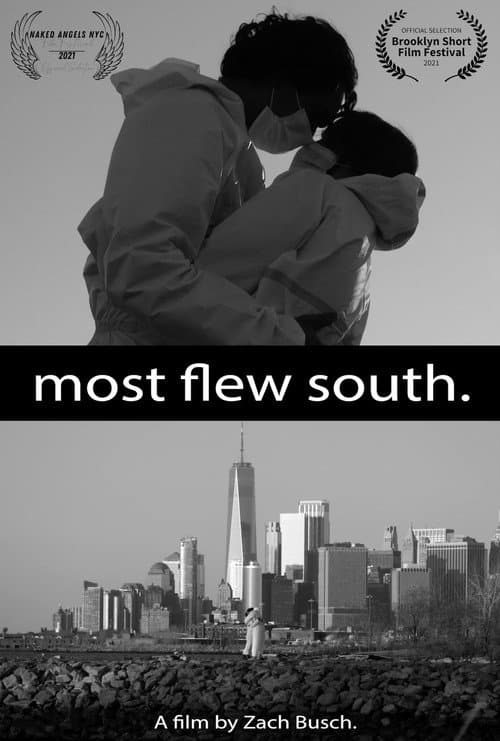 Most Flew South (2020) movie poster