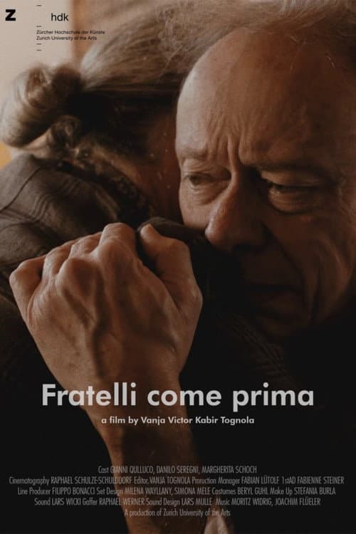 Affiche du film Fratelli come prima (2019)