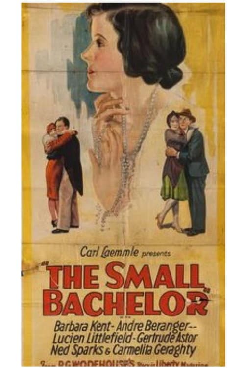 ملصق فيلم The Small Bachelor (1927)