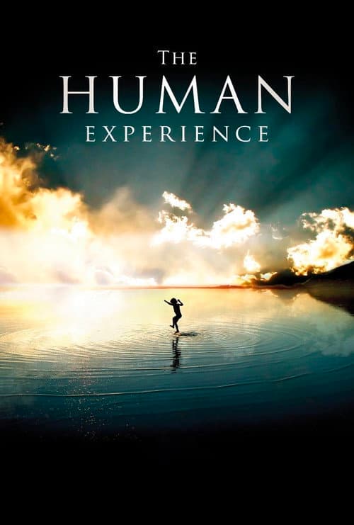 Affiche du film The Human Experience (2008)