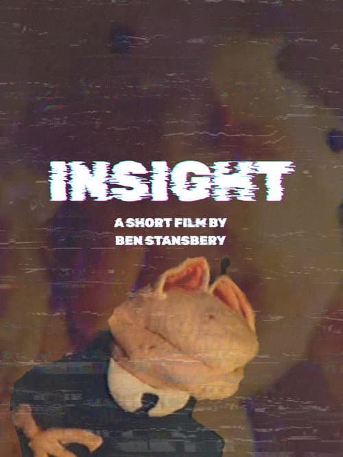 Insight (2024) movie poster